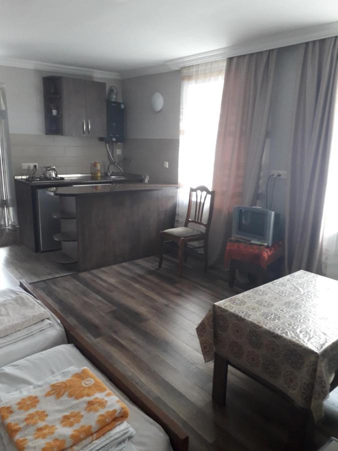 Apartament Ninati Borjomi Bagian luar foto
