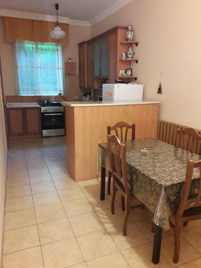 Apartament Ninati Borjomi Bagian luar foto